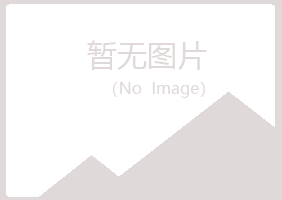 廉江夏青音乐有限公司